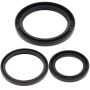 All Balls Racing 25-2033-5 99-04 Yamaha YFM250 Beartracker Differential Seal Only Kit Rear
