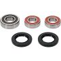 Pivot Works 25-1779-P Honda Wheel Bearing Kit Premium Bearings
