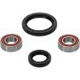 Pivot Works 25-1051-P Suzuki Wheel Bearing Kit Premium Bearings