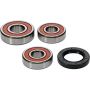 Pivot Works 25-1362-P Honda Wheel Bearing Kit Premium Bearings