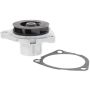 VAICO V24-50019 WATER PUMP