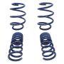 FORD FRDM5300-W Lowering Spring Kit Mustang GT350 15-18