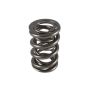 PAC RACING SPRINGS PACPAC-1225-1 1.550 Dual Valve Spring