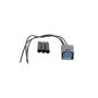 ROSTRA 61-0291 Multi-Purpose Electrical Connector