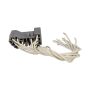 ROSTRA 61-0572 Multi-Purpose Electrical Connector