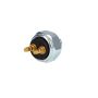 ROSTRA 62-0035 Brake Light Switch