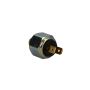 ROSTRA 62-0046 Brake Light Switch