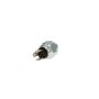 ROSTRA 62-0069 Brake Light Switch