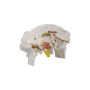 ROSTRA 67-0015 Neutral Safety Switch