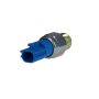 ROSTRA 67-0091 Multi-Purpose Switch