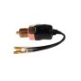ROSTRA 67-0136 Back Up Light Switch