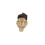 ROSTRA 68-0048 Engine Coolant Temperature Sender