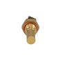 ROSTRA 69-0651 Exhaust Gas Recirculation (EGR) Time Delay Switch