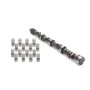 SBC Cam & Lifter Kit - 427/427-110 260 Duration