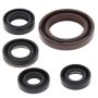 Vertex Pistons 822327 Vertex Gaskets 06-09 Suzuki LT-R450 Oil Seal Kit
