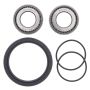 All Balls Racing 25-1008 Wheel Bearing Kits