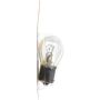 Philips 1073B2 Philips Standard Miniature 1073