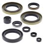 Vertex Pistons 822104 Vertex Gaskets 89-04 Kawasaki KX500 Oil Seal Kit