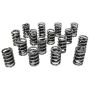 Howards Racing Components 98215 (Vss) Springs