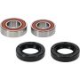 Pivot Works 25-1721-P Yamaha Wheel Bearing Kit Premium Bearings