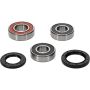 Pivot Works 25-1386-P Cagiva, Kawasaki Wheel Bearing Kit Premium Bearings