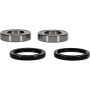 Pivot Works 25-1032-P Honda Wheel Bearing Kit Premium Bearings
