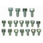 RACING POWER CO-PACKAGED RPCR0006 SBC Oil Pan Bolt Kit