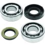 QuadBoss 414072 04-07 Polaris Predator 50 Crankshaft Bearing & Seal Kit