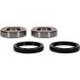 Pivot Works 25-1579-P Eton, Yamaha Wheel Bearing Kit Premium Bearings