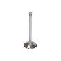 Manley 115031 Manley Valve - Exhaust, Valve-BCK V6 1.500
