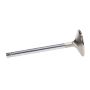 Manley 115031 Manley Valve - Exhaust, Valve-BCK V6 1.500