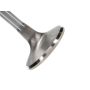 Manley 11729B1 Manley Valve - Exhaust, Valve-E/D 1.950
