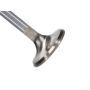 Manley 117511 Manley Valve - Exhaust, Valve-S/D 1.600,+.200