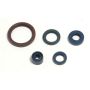 Athena P400220400255 03-04 Husqvarna TE/TC 250-450 Engine Oil Seal Kit