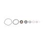 SWEET SWE321-81010 Seal Kit Sprint Car Pump