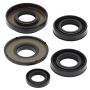 Vertex Pistons 822231 Vertex Gaskets 03-06 Kawasaki KFX80 Oil Seal Kit