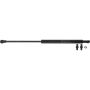 Autopart International Hood Strut 120120133