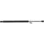 Autopart International Trunk Strut 1201203309