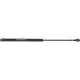 Autopart International Hood Strut 1201277170