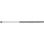 Autopart International Trunk Strut 1201288139