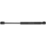 Autopart International Trunk Strut 1201288309