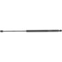 Autopart International Trunk Strut 1201288311