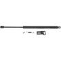 Autopart International Trunk Strut 1201288318