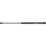 Autopart International Hatch Strut 1201317580