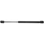 Autopart International Hood Strut 1201423519