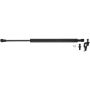 Autopart International Hood Strut 1201423534