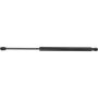 Autopart International Hatch Strut 1201423540