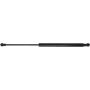 Autopart International Hatch Strut 1201423544