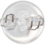 Philips 12256CP Philips Standard Minature 12256CP Pack of 10