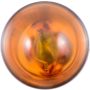 Philips 12396NALLB2 Philips LongerLife Miniature 12396NALL